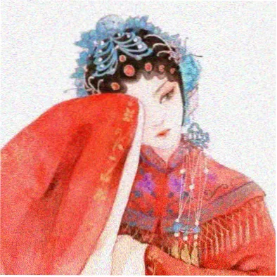 胶片收藏家头像